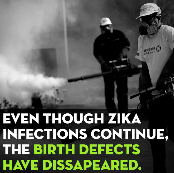 Zika Birth Defects Explained! Finally!